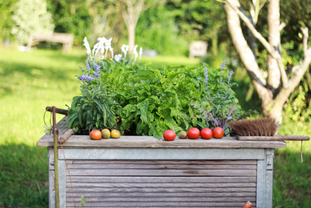 Garten Hochbeet Nährstoffe