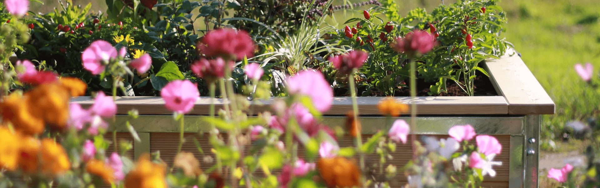 Gartenhochbeet als Bausatz