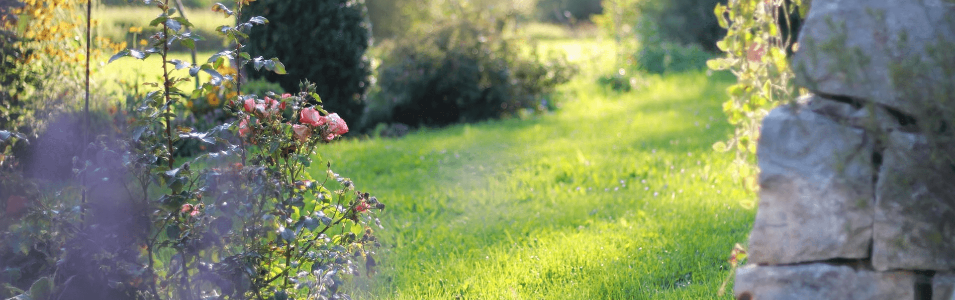 Garten Hochbeet hortico