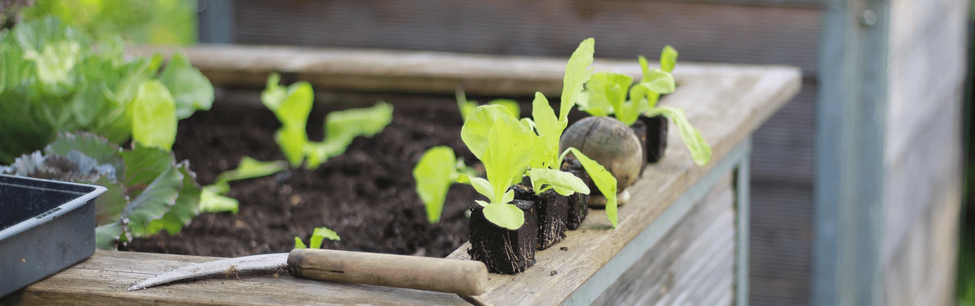 Hochbeet mit umlaufender Ablage