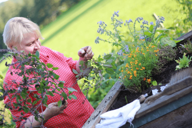 Gartenhochbeet als Bausatz
