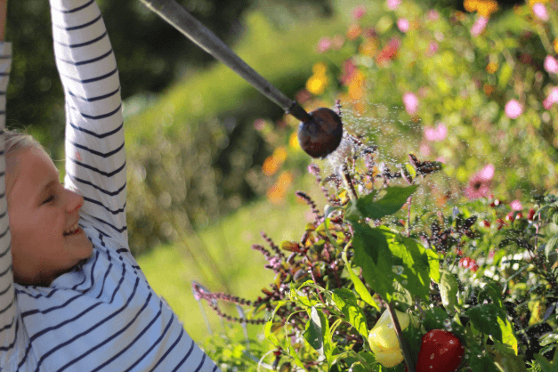 Kinder Hochbeet als Bausatz