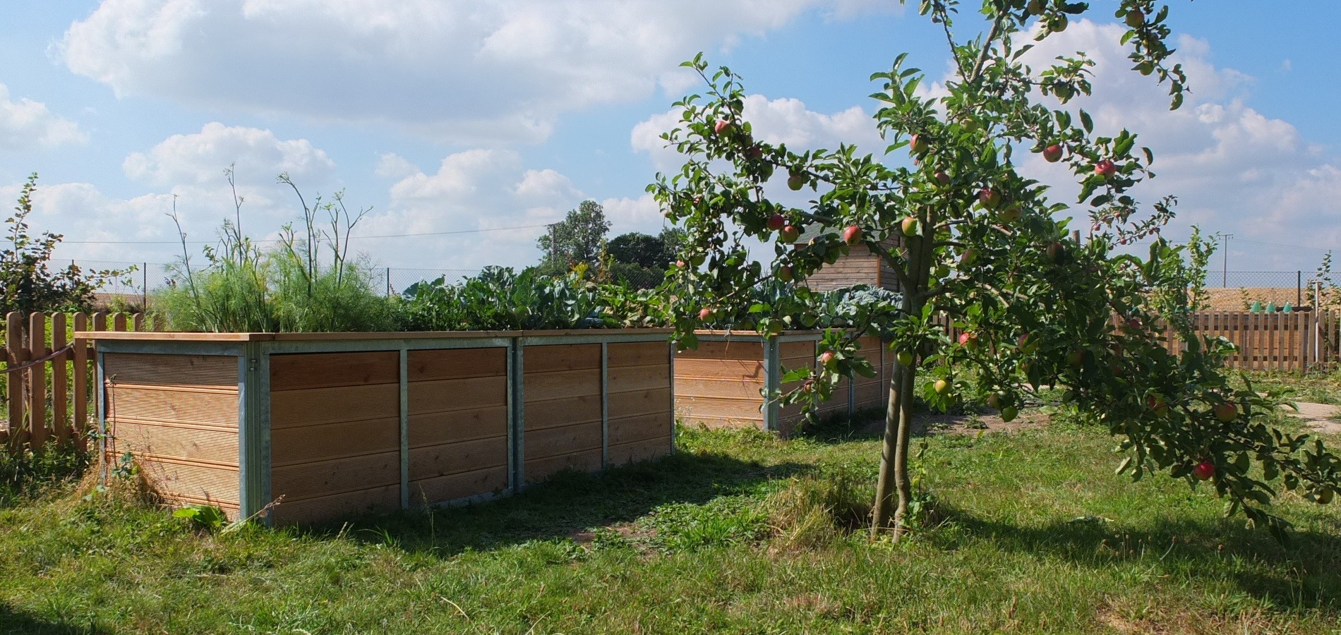 hochbeete in einem bauerngarten mit apfelbaum