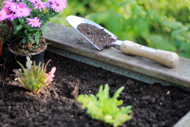 Garten Hochbeet Genuss